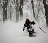 Japon ski Freeride Hakuba Myoko Nozawa 